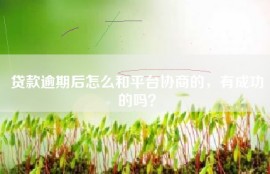 贷款逾期后怎么和平台协商的，有成功的吗？