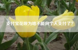 支付宝花呗为啥不能向个人支付了？