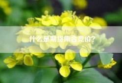 什么是期货集合竞价？