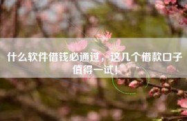 什么软件借钱必通过，这几个借款口子值得一试！