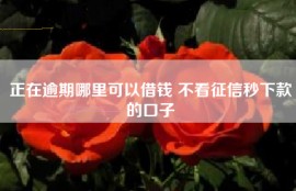 正在逾期哪里可以借钱 不看征信秒下款的口子