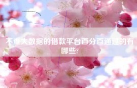 不查大数据的借款平台百分百通过的有哪些?