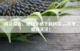 网贷盘点，黑口子必下款网贷app名单，值得关注！