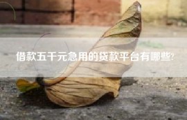 借款五千元急用的贷款平台有哪些?