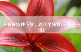 不看征信秒下款，这几个贷款app值得一试！
