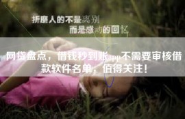 网贷盘点，借钱秒到账app不需要审核借款软件名单，值得关注！