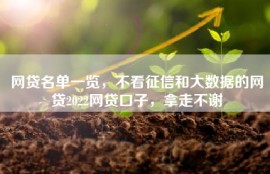 网贷名单一览，不看征信和大数据的网贷2022网贷口子，拿走不谢
