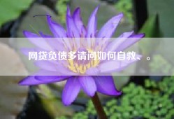 网贷负债多请问如何自救、。