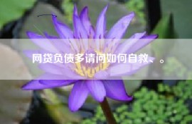 网贷负债多请问如何自救、。