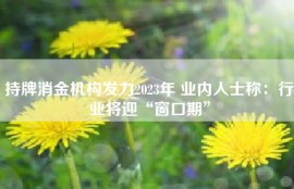 持牌消金机构发力2023年 业内人士称：行业将迎“窗口期”