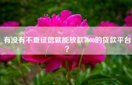 有没有不查征信就能放款5000的贷款平台？