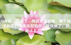 80年的，失业了，网贷全面逾期，两个孩子和媳妇天天没好脸色，我快疯了，到底该怎么办？