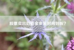 股票卖出后资金多长时间到帐？