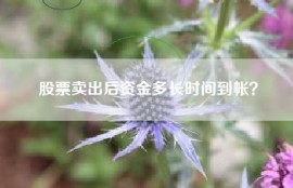 股票卖出后资金多长时间到帐？