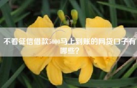 不看征信借款5000马上到账的网贷口子有哪些？