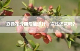 安逸花分期后能进行一次性还款吗？