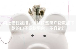 网上借钱被拒，试试这些黑户贷款能下款的口子贷款平台，不容错过