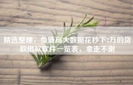 精选整理，负债高大数据花秒下2万的贷款借款软件一览表，拿走不谢