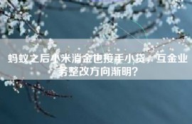 蚂蚁之后小米消金也接手小贷，互金业务整改方向渐明？