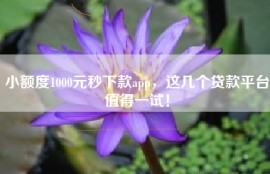 小额度1000元秒下款app，这几个贷款平台值得一试！