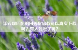 洋钱罐匹配的田园贷借款可以真实下款吗？有人到账了吗？