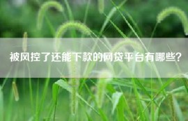 被风控了还能下款的网贷平台有哪些？