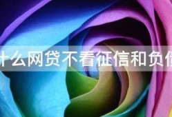 有什么网贷不看征信和负债的