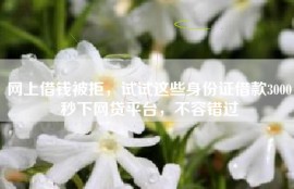 网上借钱被拒，试试这些身份证借款3000秒下网贷平台，不容错过