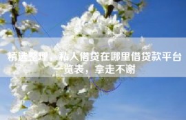 精选整理，私人借贷在哪里借贷款平台一览表，拿走不谢