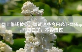 网上借钱被拒，试试这些今日必下网贷app网贷口子，不容错过
