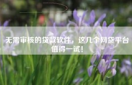无需审核的贷款软件，这几个网贷平台值得一试！