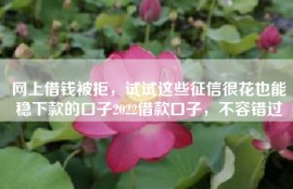 网上借钱被拒，试试这些征信很花也能稳下款的口子2022借款口子，不容错过