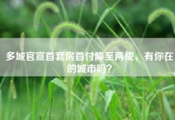 多城官宣首套房首付降至两成，有你在的城市吗？