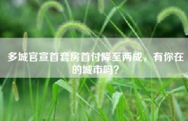 多城官宣首套房首付降至两成，有你在的城市吗？