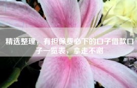 精选整理，有担保费必下的口子借款口子一览表，拿走不谢