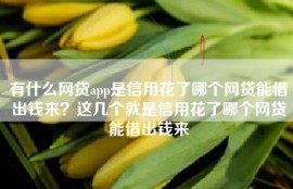 有什么网贷app是信用花了哪个网贷能借出钱来？这几个就是信用花了哪个网贷能借出钱来