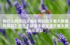 有什么网贷口子是不看征信不看大数据的贷款？这几个就是不看征信不看大数据的贷款