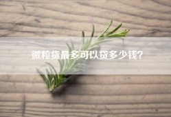 微粒贷最多可以贷多少钱？