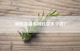 微粒贷最多可以贷多少钱？