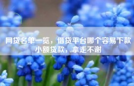 网贷名单一览，借贷平台哪个容易下款小额贷款，拿走不谢