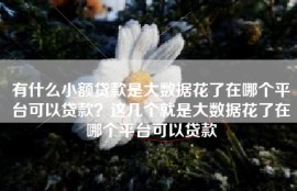 有什么小额贷款是大数据花了在哪个平台可以贷款？这几个就是大数据花了在哪个平台可以贷款