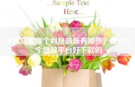 手机贷款哪个利息最低有哪些？盘点几个借款平台好下款的