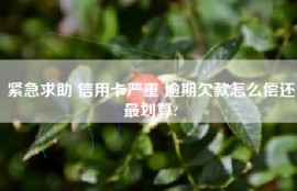 紧急求助 信用卡严重 逾期欠款怎么偿还最划算?