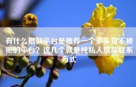 有什么借款平台是推荐一个多头贷不被拒的平台？这几个就是纯私人放款联系方式