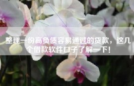 整理一份高负债容易通过的贷款，这几个借款软件口子了解一下！