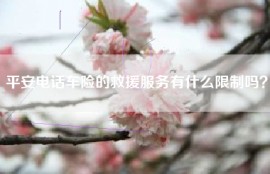 平安电话车险的救援服务有什么限制吗？