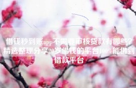 借钱秒到账app不需要审核贷款有哪些？精选整理分享20岁借钱的平台100%能借到借款平台