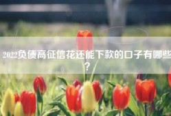 2022负债高征信花还能下款的口子有哪些？