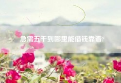 急需五千到哪里能借钱靠谱?