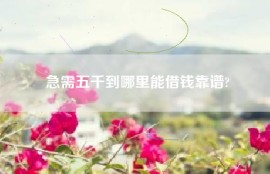 急需五千到哪里能借钱靠谱?